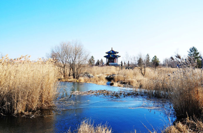 一些漂亮的句子