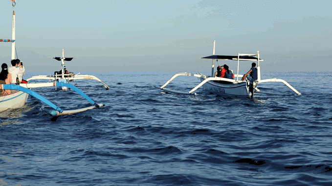 体现亲情心理的句子