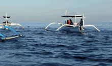 体现亲情心理的句子