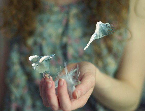 20.踩到底，有时我们低下头才能看到自己的路。