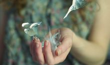 关于放下的人生感悟句子