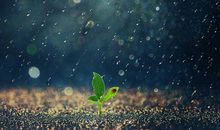 雨的名言或标语