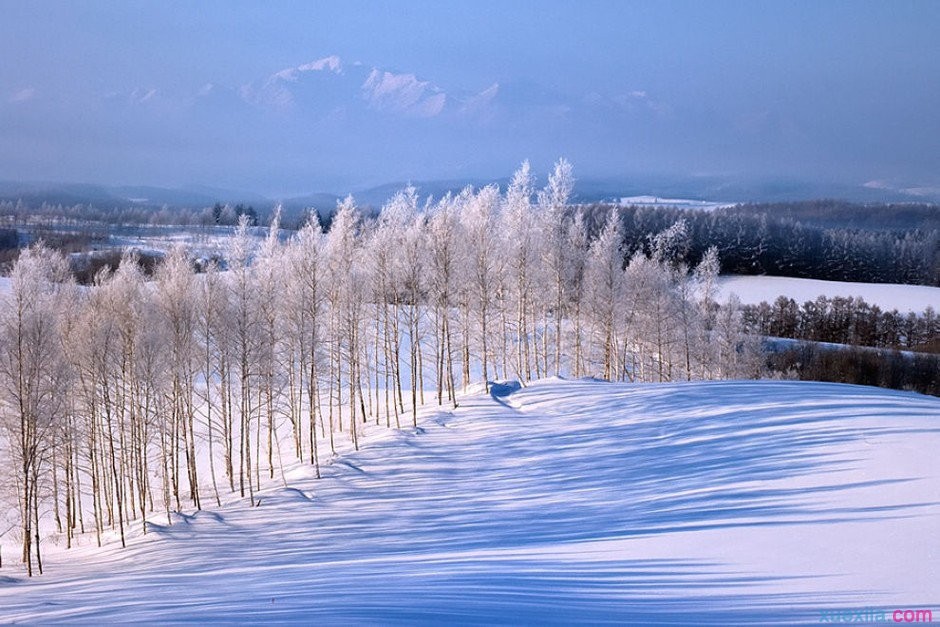 10.今天天气变化时，要当心感冒；注意自己的身体，吃得有多好；在寒冷的天气里增加衣服，少吃冰棍；吃甜而困，身体会更好！希望你有美好的一天！
