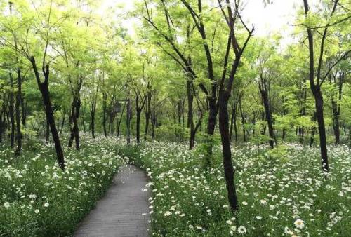 有关亲情的成语和句子