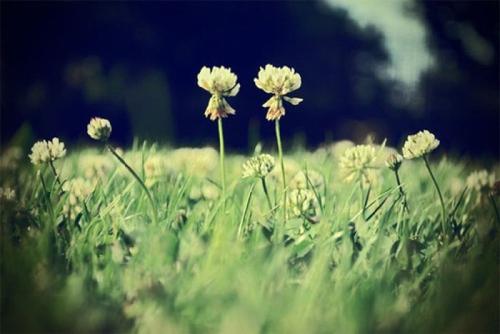 亲情和友情的选择句子