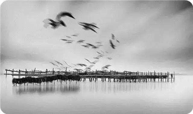 15.我坚信，只有道德公民才能向他们的祖国支付可接受的敬礼。 -卢梭