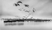 有关品德的座右铭