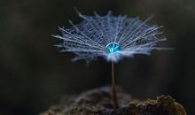 人生是一种承受，我们要学会支撑自己