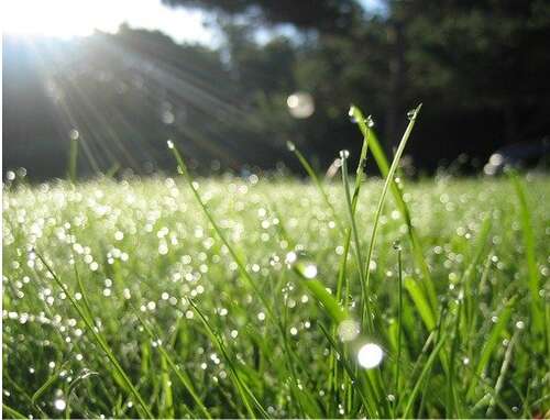 20.清晨，一缕阳光从窗户外面照进来，美丽而宜人的鸟儿在森林中歌唱，偶尔优雅地掠过而没有看到它们。