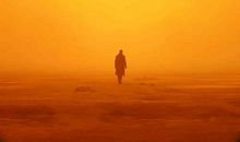 对亲戚失望的句子