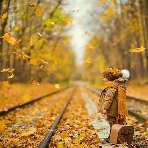 有关努力上进的座右铭 2