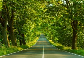 有关有关亲情的句子诗歌曲词 1