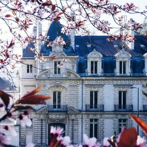 有关有关亲情的句子诗歌曲词