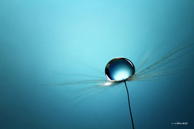 20.生气就是用别人的错误惩罚自己。忧虑是用自己的过失折磨自己；后悔是在无助的过去中毁灭自己。担心是用虚拟风险吓f自己；孤独是用自制的细胞囚禁自己；自卑是利用他人的优势来击败自己。控制自己，善待自己。