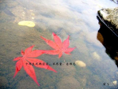 触动心灵的那句话,哪句话写在你心中?