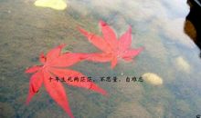 触动心灵的句子, 哪一句写到你的心里？