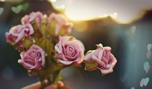 有关于开心的座右铭