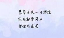 形容自由的句子