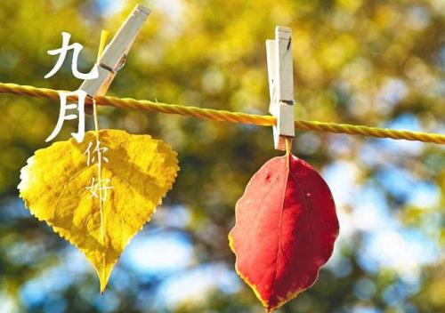 七个字符的爱情美丽诗句