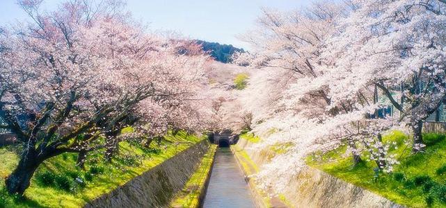 不远万里描述亲情的句子