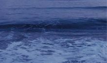 表示亲情的古诗词句子