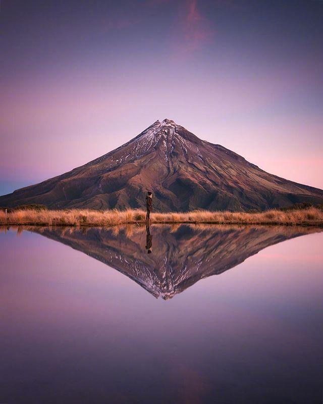 15.这朵莲花就像亭子里一个迷人的女人，唱歌和跳舞。