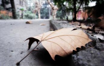 遇见悲伤的句子