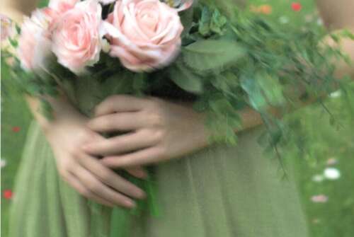 温柔到爆炸的神仙表白句子 融化你的心的句子 2