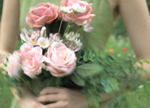 温柔到爆炸的神仙表白句子 融化你的心的句子 1