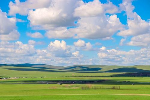 形容草原的诗句 唯美古诗词