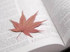 关于增长的漂亮句子