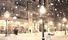 借雪抒情的句子