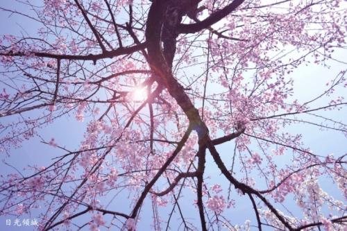 很累但又很开心的诗句句子