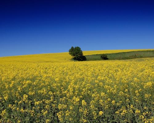 很累但又很开心的诗句句子 1