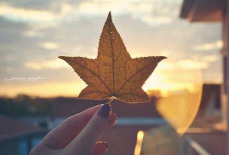 我不能忍受的最后一个人仍然是我