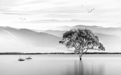白居易的诗句 赞美江南的美好景色