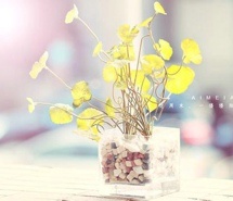 关于亲情友谊的句子英