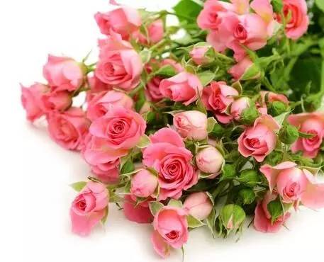 表达爱意的诗句 表示一辈子深爱的诗句 1