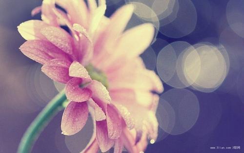 关于亲情友谊的句子英 2