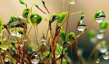 借秋雨抒情的句子