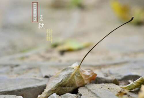 关于立秋的古诗 描写立秋的诗句