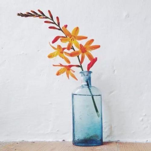 抖音热门句子亲情 1