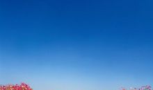 四月问候客户短信