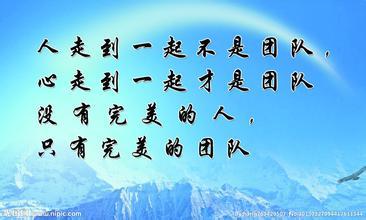 关于团队合作的名言