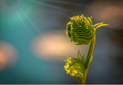 用来激励自已的座右铭 1