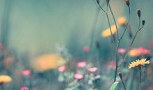 工作表扬亲情的句子