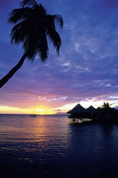 10.为您定制一条特殊的消息，该消息内容丰富，具有凉爽的成分，具有清爽的口感，释放清爽的口气并具有纯正的力量。祝您夏天愉快。