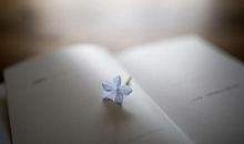 关于亲情正能量的句子