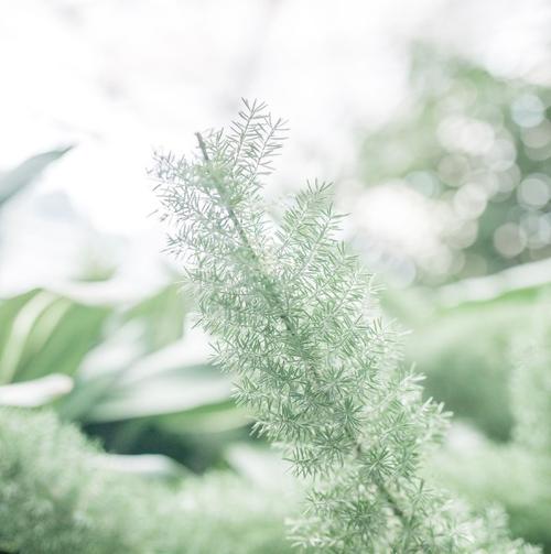 关于亲情正能量的句子 1