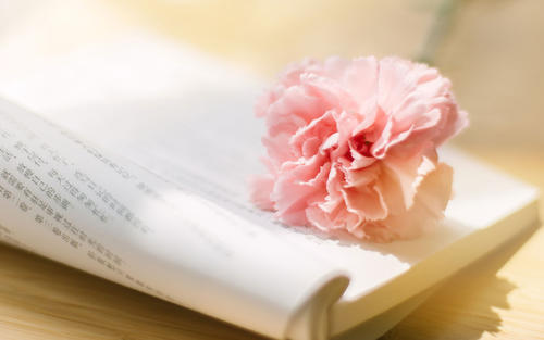 适合发朋友圈亲情旅行的句子 1